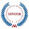 Services Disabled Veteran Owned Small Business